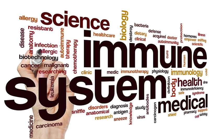 Immune Support