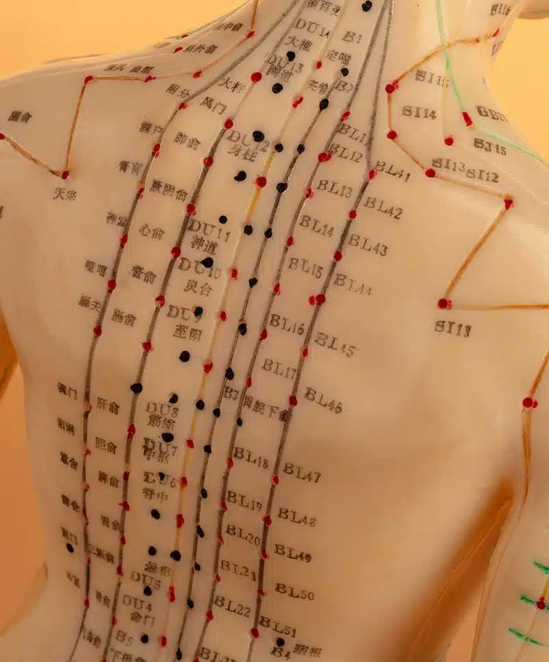 Traditional Chinese Medicine & COVID-19