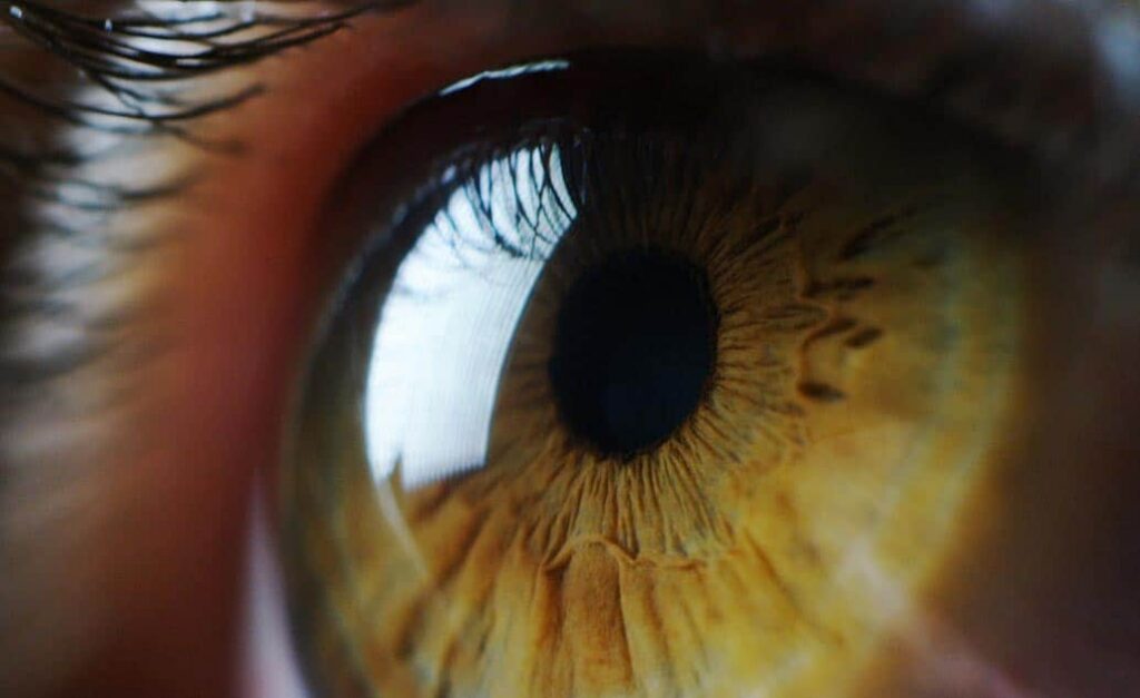 Acupuncture for Eye Health
