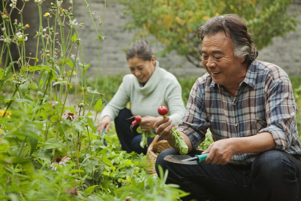 Spring and Health: A Traditional Chinese Medicine Perspective on Five Vegetables Ideal for Spring Consumption