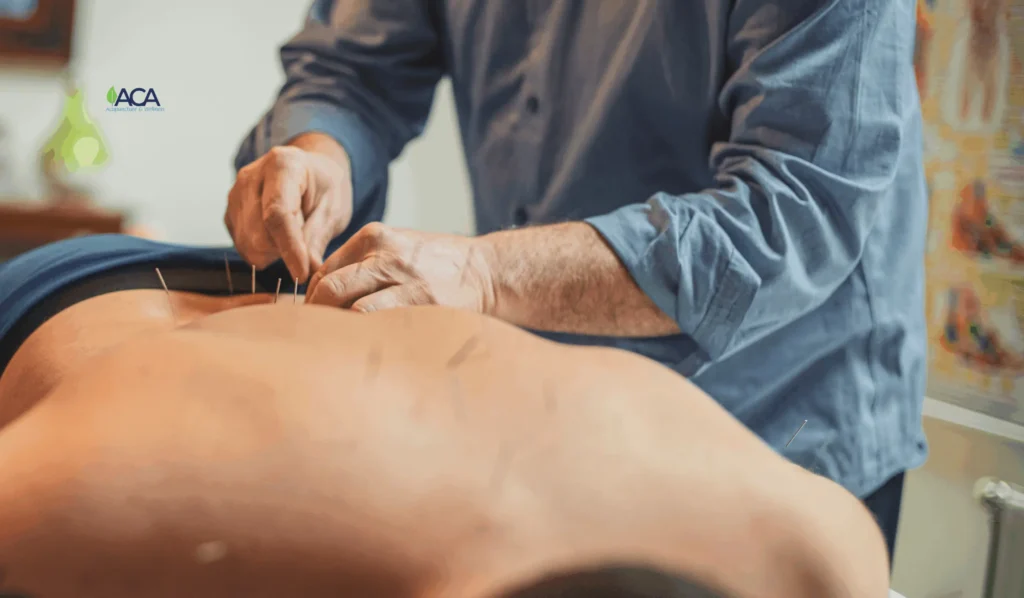 Men’s Health Month: Understanding Acupuncture For Male Fertility