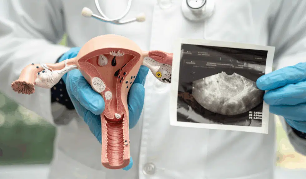 The Bao Mai: How the Heart–Uterus Pathway Impacts Menstrual Health, Fertility, and Pregnancy