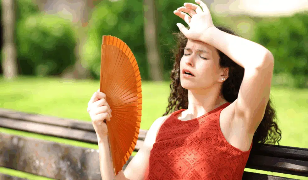 Traditional and Holistic Ways to Treat Stroke: Gentle Summer Therapies That Support Healing