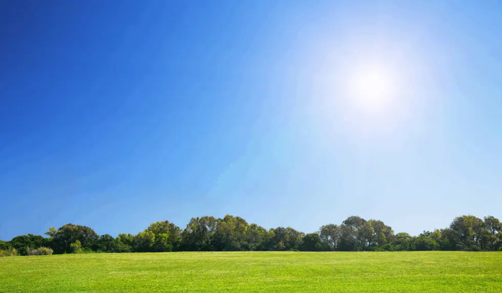 The Dog Days and San Fu Tie Therapy: Treat Winter Illnesses in Summer