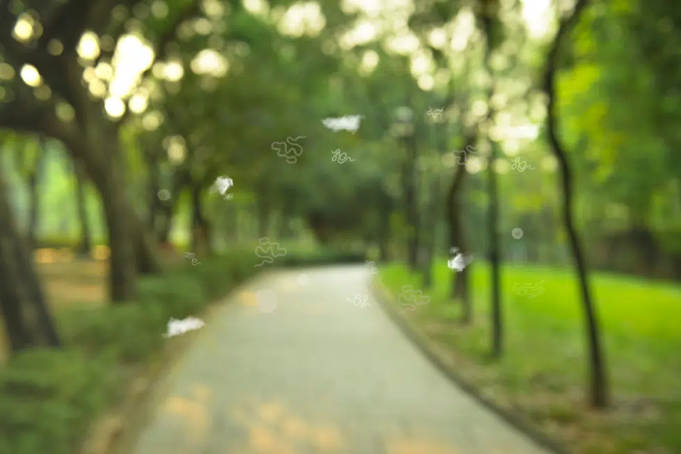 Understanding Eye Floaters and Blurry Vision Through the TCM Liver and Kidney System